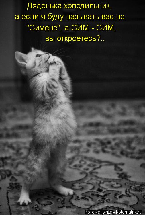 Котоматрица: Дяденька холодильник, а если я буду называть вас не "Сименс", а СИМ - СИМ, вы откроетесь?..