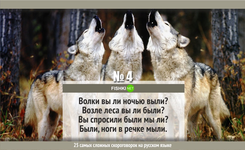 25 самых сложных скороговорок на русском языке интересное, русский язык, скороговорки