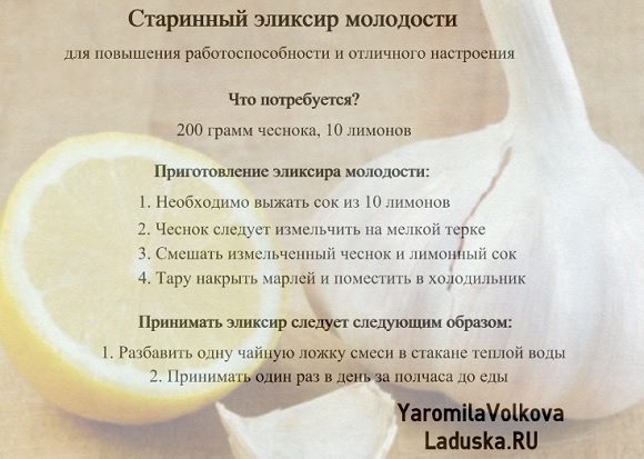 Как сделать эликсир молодости Как сделать эликсир молодости
