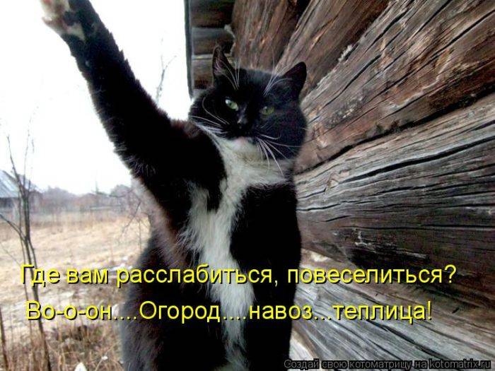 original (9) (700x525, 214Kb)