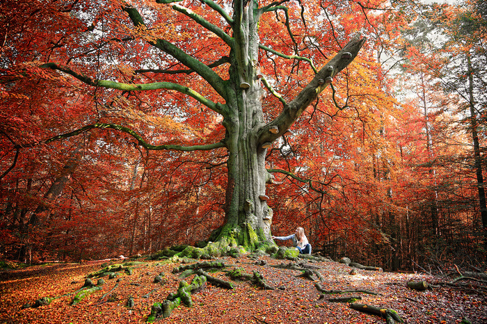     : Lars van de Goor