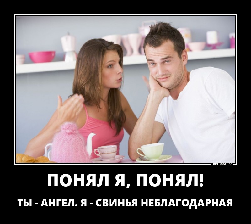 ДЕМОТИВАТОРЫ + ДЕМОТИВАТОРЫ +