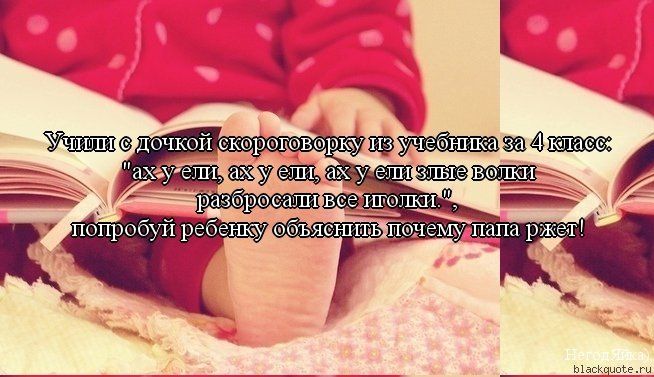 Прикольные цитаты в картинках Прикольные цитаты в картинках