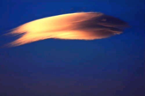 Облако рыба