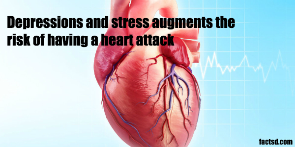 heart facts