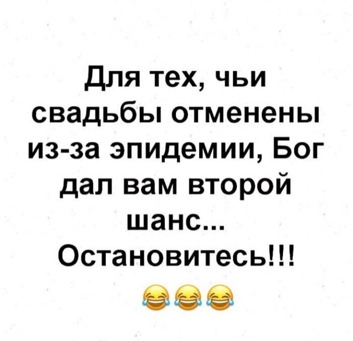 Помните, что всегда есть последний шанс Свадебное безумие и его участники
(16 фото)