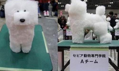 Необычные стрижки тайваньских собак (10 фото) Необычные стрижки тайваньских собак (10 фото)