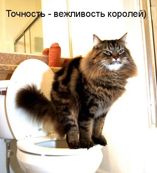 Котоматрица 9