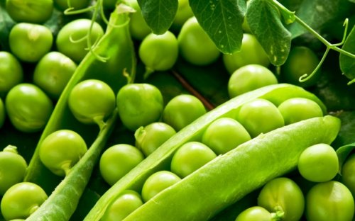 Топ-25: Продукты питания, которые лучше не есть перед свиданием Продукты питания, которые лучше не есть перед свиданием