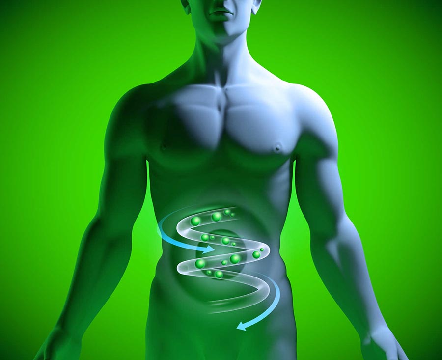 ÐšÐÑ€Ñ‚Ð¸Ð½ÐºÐ¸ Ð¿Ð¾ ÐÐÐ¿Ñ€Ð¾ÑÑƒ stomach health