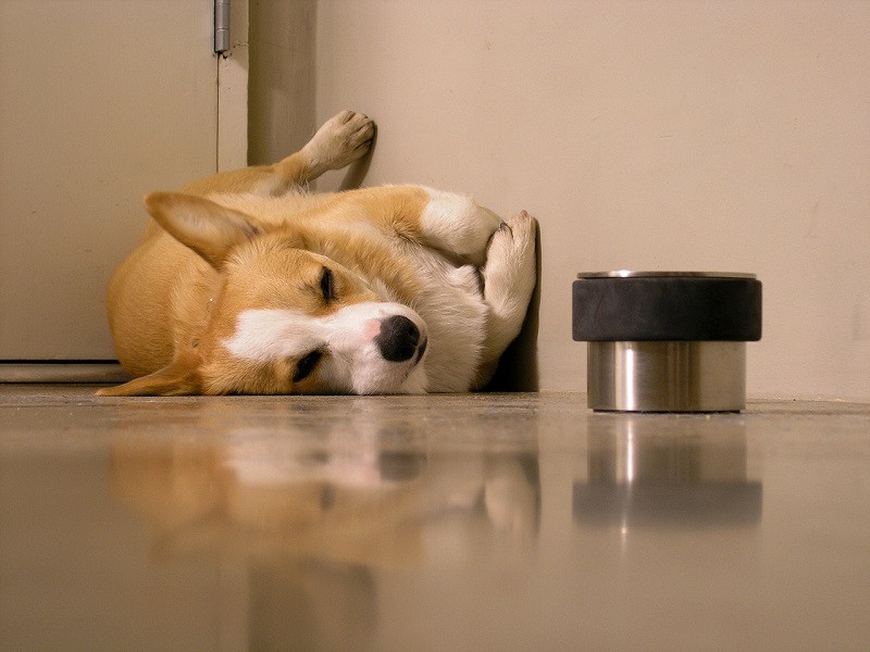 ������ ����� �����-�����. ����