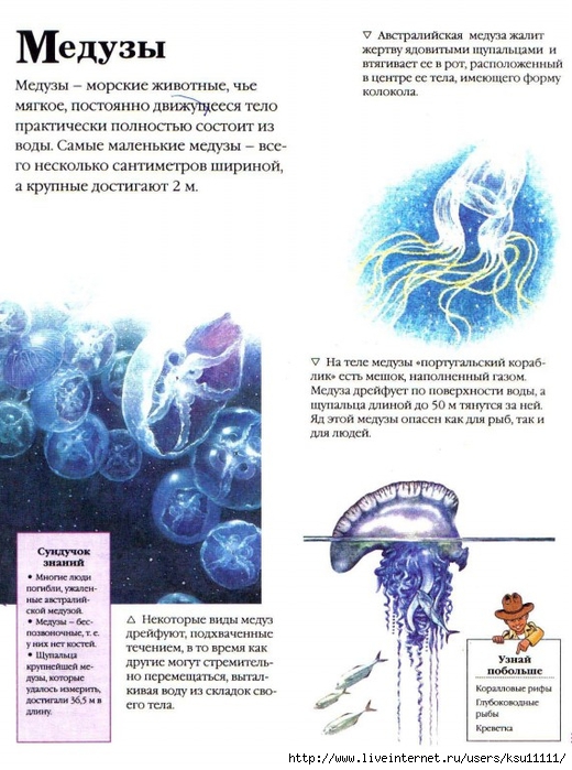 Entziklopedia dlya detei.Vse o jivotnih ot a do ya..page077 (520x700, 264Kb)