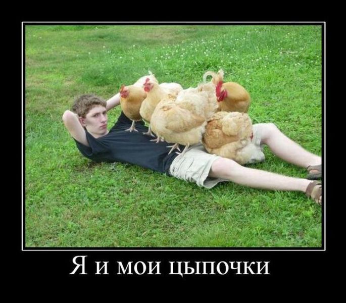 Демотиваторы