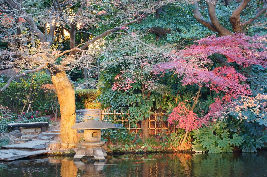 �������� ��� ��� ������ ������������ ������ �������