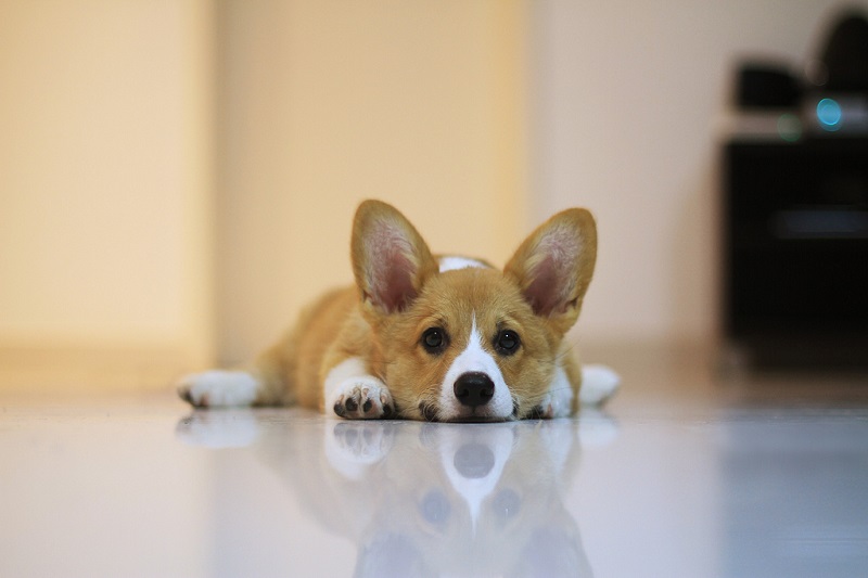 ������ ����� �����-�����. ����