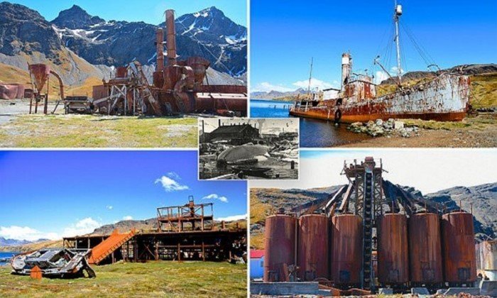 Старая китобойня изнутри: жутковатое зрелище