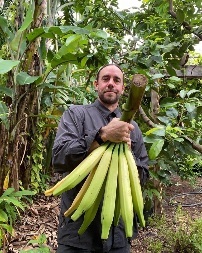 12 причудливых видов бананов, которые поразят своим цветом и вкусом