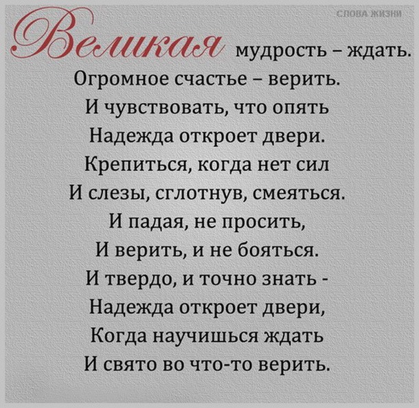 Анимационные картинки, гифки, открытки Крылатые слова - rodon. org