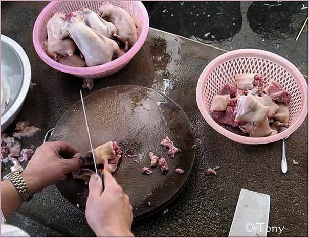 быть везде слушать быть везде слушать