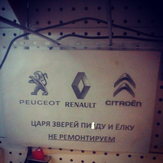 16. 16. люди, приколы, россия, юмор