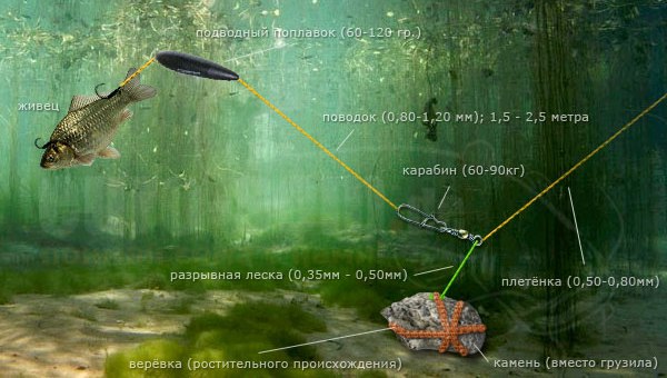 Как сделать донку для сома видео - Nationalparks.ru