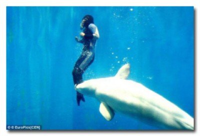 5 историй о животных, которые спасли людей от неминуемой смерти