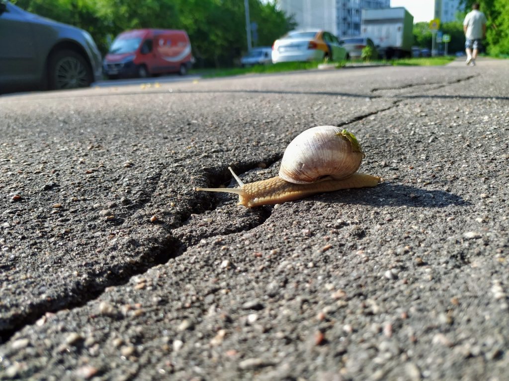 Фото дня: опоздавший на самоизоляцию