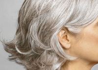 ����������� �������� ��� �����