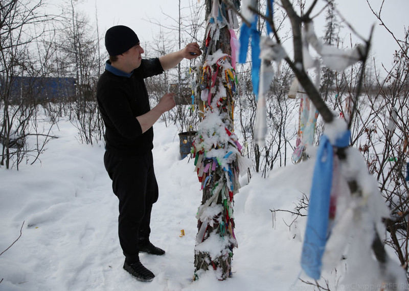 Приключения новозеландца на Колыме Приключения новозеландца на Колыме дальнобойщики, журналист меняет профессию, опасный бизнес, россия, сибирь