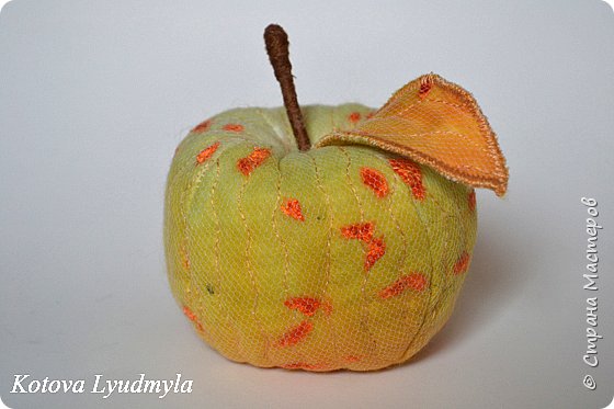 dsc_0510 (560x373, 36Kb)