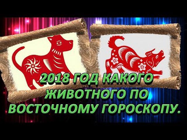 Новый 2018 год какого животного по восточному календарю Новый 2018 год какого животного по восточному календарю
