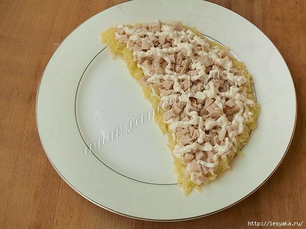 3925073_image5_1_ (600x449, 136Kb)