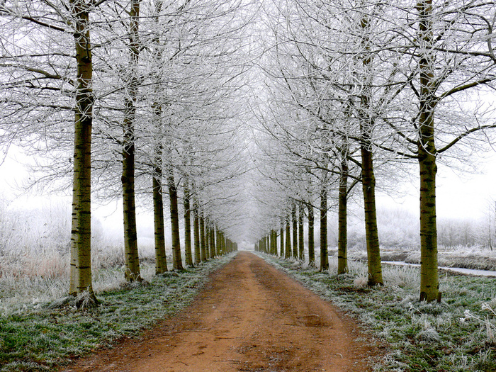     : Lars van de Goor