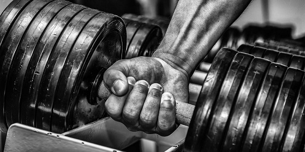 19650122_726285304162189_950899041_o