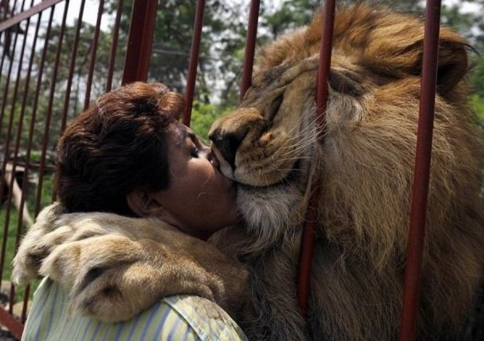 15. Люди сами создают себе преграды... 15. Люди сами создают себе преграды... добро, люди, фото