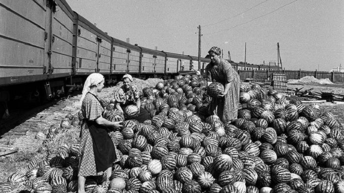 12 фотографий из архива журнала «Огонек», запечатлевшие тружеников СССР