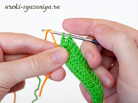 ����� ������ �������