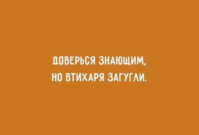 Относиться надо ко всему с мором