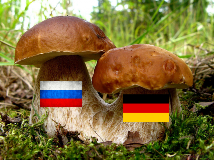 Что русскому хорошо, то немцу -... русские, немцы