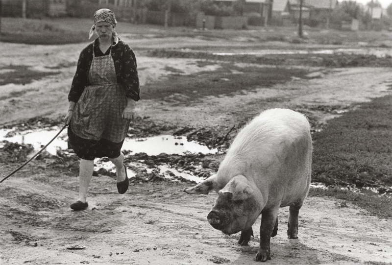 Советское фотоискусство. Очень избранное: 1926-1979