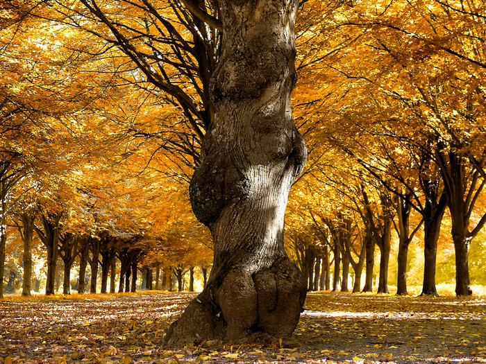     : Lars van de Goor