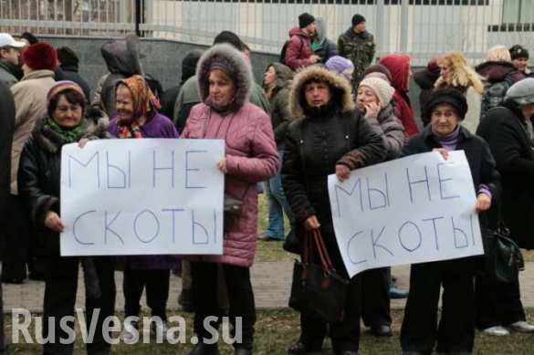 В День Дурака протестанты под посольством США в Киеве мычали, блеяли и ели капусту под лозунгами: «Мы не скоты!» | Русская весна