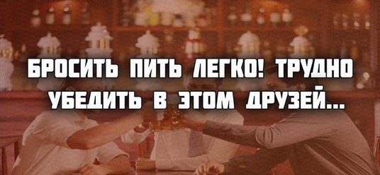 Лучшие цитаты дня