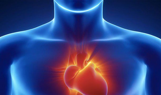 Удивительные факты о человеческом сердце интересное, наука, сердце, факты