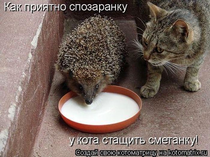 Мысли вслух :)