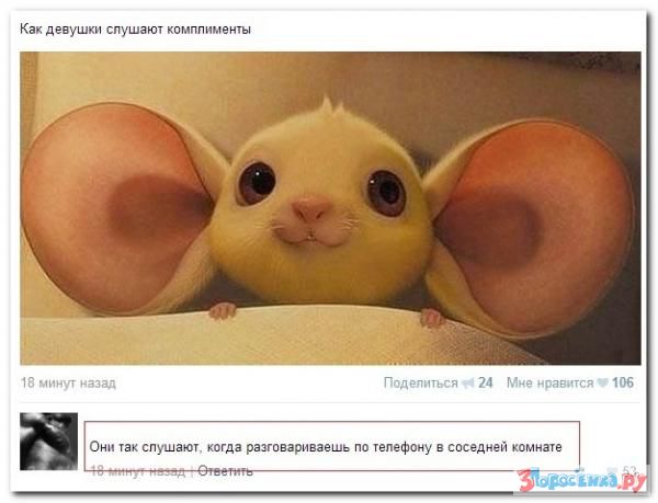 Убойная подборочка комментариев из соц.сетей от народных приколистов Убойная подборочка комментариев из соц.сетей от народных приколистов
