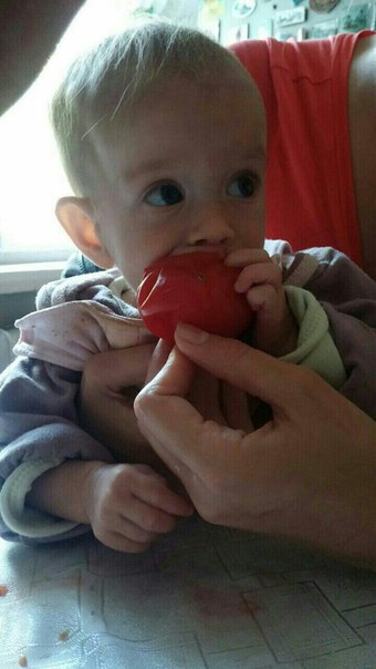 Как вы относитесь к тому, что родители делают из детей сыроедов? Как вы относитесь к тому, что родители делают из детей сыроедов?