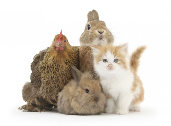 Позитивненько!! Позитивненько!!