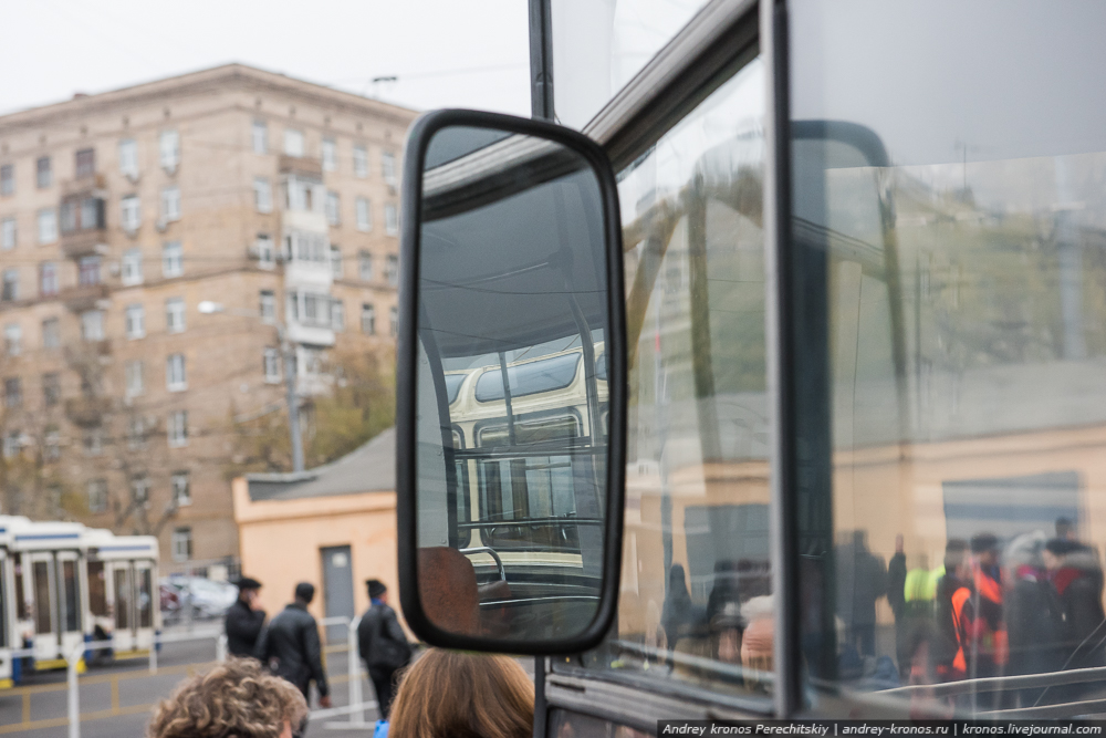 Рогатые раритеты Рогатые раритеты
