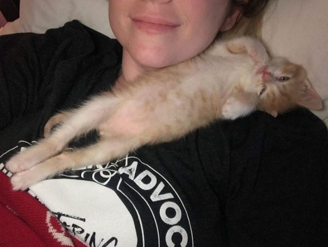 Женщина с котенком Котенок спит